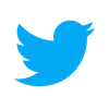 icons8-twitter-100